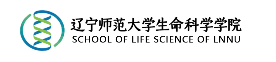 2026世界杯官网